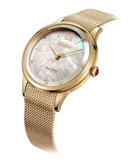 Reloj Citizen EM0813-86Y Eco-Drive cristal zafiro c2